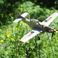 DSC 0019
