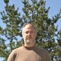 DSC 0012