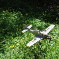 DSC 0020