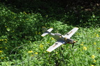 DSC 0020